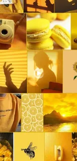 Vibrant yellow collage with playful shadows and sunlit imagery.