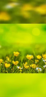 Bright yellow flowers in lush green grass wallpaper.