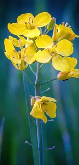 Vibrant yellow flower with green background for mobile wallpaper.