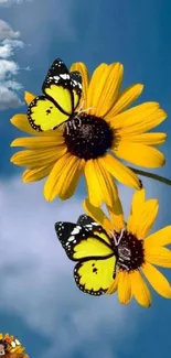 Yellow flowers and butterflies under a blue sky.