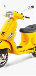 Bright yellow scooter on a white background, showcasing modern design.