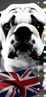 British Bulldog with UK flag wallpaper for mobile devices.