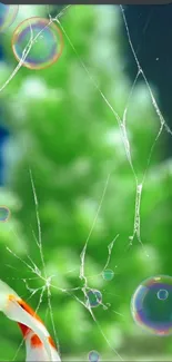 Broken glass with vibrant bubbles overlaying a green background.