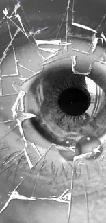 Broken glass with eye in focus, artistic monochrome wallpaper.