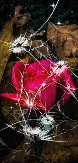 Pink rose with broken glass effect and autumn leaves background.