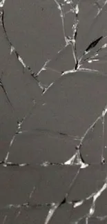 Cracked mobile phone screen on a white background wallpaper.