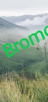 Bromo mountain with mist and green hills landscape scenery.