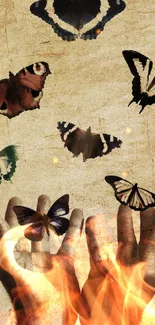 Brown Arthropod Butterfly Live Wallpaper