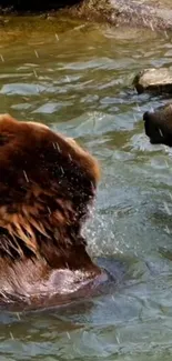 Two brown bears swimming in a forest lake, showcasing wildlife beauty.