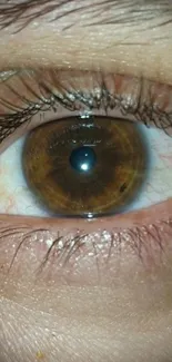 Close-up image of a brown eye with detailed iris texture.