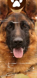 Brown Head Dog Live Wallpaper