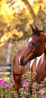 Brown horse with pink flowers and golden trees in the background.