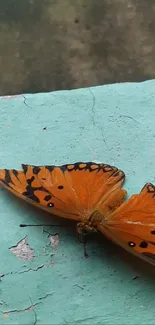 Brown Pollinator Butterfly Live Wallpaper