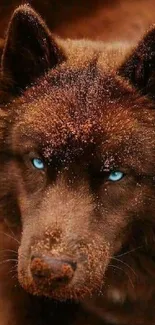 Majestic brown wolf with piercing blue eyes in a natural setting.