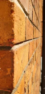 Brown Wood Brick Live Wallpaper