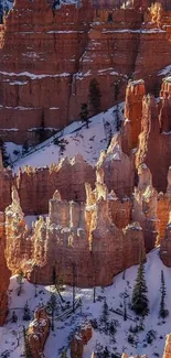 Bryce Canyon's snow-covered red rock formations in winter sunlight.