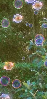 Serene bubbles floating in lush green foliage