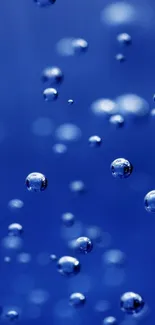 Serene blue bubbles floating elegantly on a calming background.