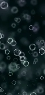 Floating bubbles against a dark background.