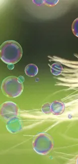 Whimsical bubbles floating over a green background.