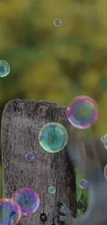 Colorful bubbles over a blurred squirrel and wooden post in nature.