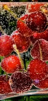 Close-up of cherries submerged in bubbly water creating a vivid mobile background.