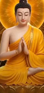Serene image of Buddha in meditation pose with golden background.