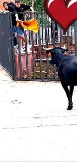 Bull facing spectators with capes in dynamic city scene.