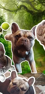 French Bulldogs collage in a lush forest setting, vibrant and playful.