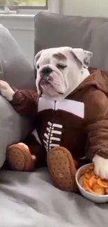 Bulldog in brown football hoodie relaxing on a couch with snacks.