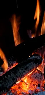 Vivid flames and charred logs in a fireplace, creating a cozy mobile wallpaper image.