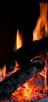 Burning logs with orange flames on a dark background.