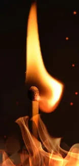 A striking mobile wallpaper of a burning match flame.