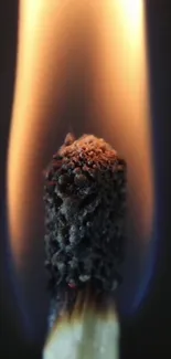 A close-up of a burning match flame in vivid detail.