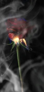 Artistic burning rose with smoke on dark background.