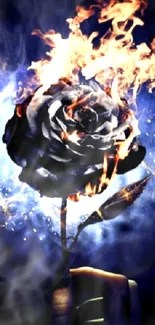 Burning rose against a dark blue night backdrop, artistic mobile wallpaper.