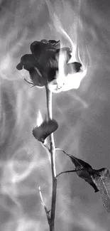 Black and white image of a rose on fire.