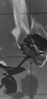 Black and white burning rose on a dark background.