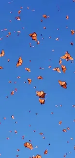 Orange butterflies flying across a blue sky in a lively mobile wallpaper.