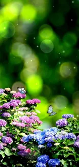 Vibrant bloom and butterfly wallpaper for mobile.