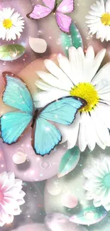 Mobile wallpaper with blue butterflies and pastel daisies.