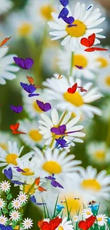 Vibrant butterflies fluttering among white daisies in a lively spring scene.