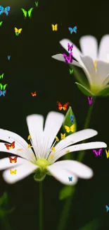 Vibrant mobile wallpaper with butterflies and white flowers.