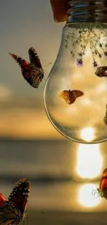 Butterflies encircling a glowing light bulb at sunset.