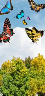 Colorful butterflies over lush trees and sky.