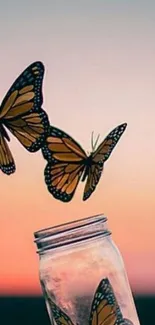 Butterflies emerging from a jar at sunset.