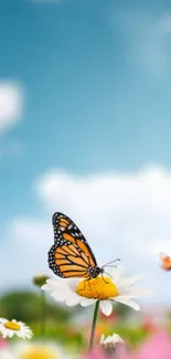 Butterflies on daisies under clear blue sky in vibrant landscape.