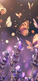 Butterflies dance among lavender flowers