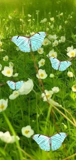 Blue butterflies fluttering in a lush, flower-filled spring meadow.