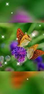 Two butterflies rest on a vibrant purple flower with a sparkling green backdrop.